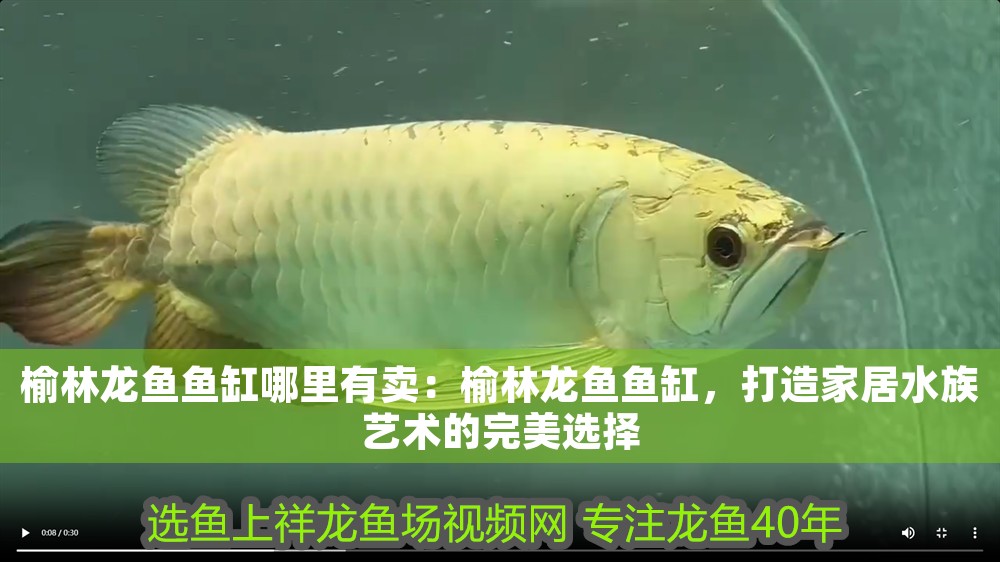 <strong><mark>榆林</mark></strong>龍魚魚缸哪里有賣：<strong><mark>榆林</mark></strong>龍魚魚缸，打造家居水族藝術(shù)的完美選擇