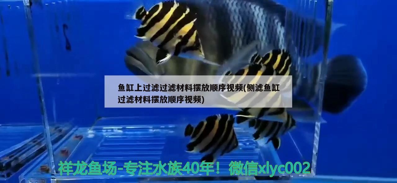 高新技術產業開發區張麗瓊鮮花店