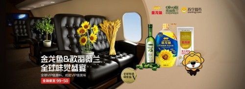 金龍魚如何空運【如何成功空運金龍魚】