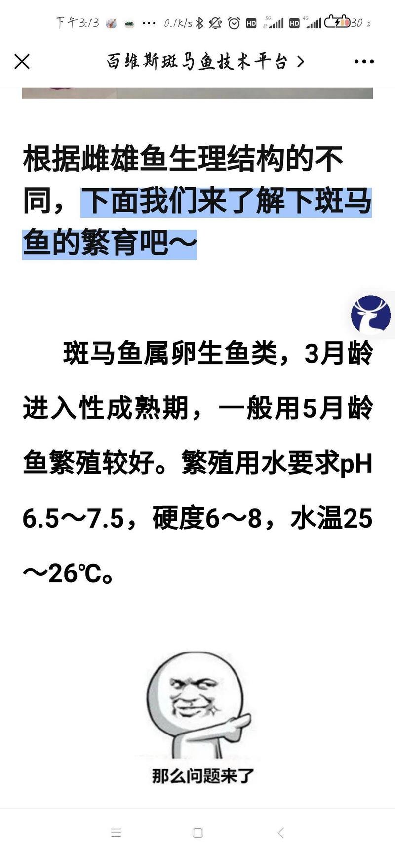 斑馬魚怎么分公母圖解