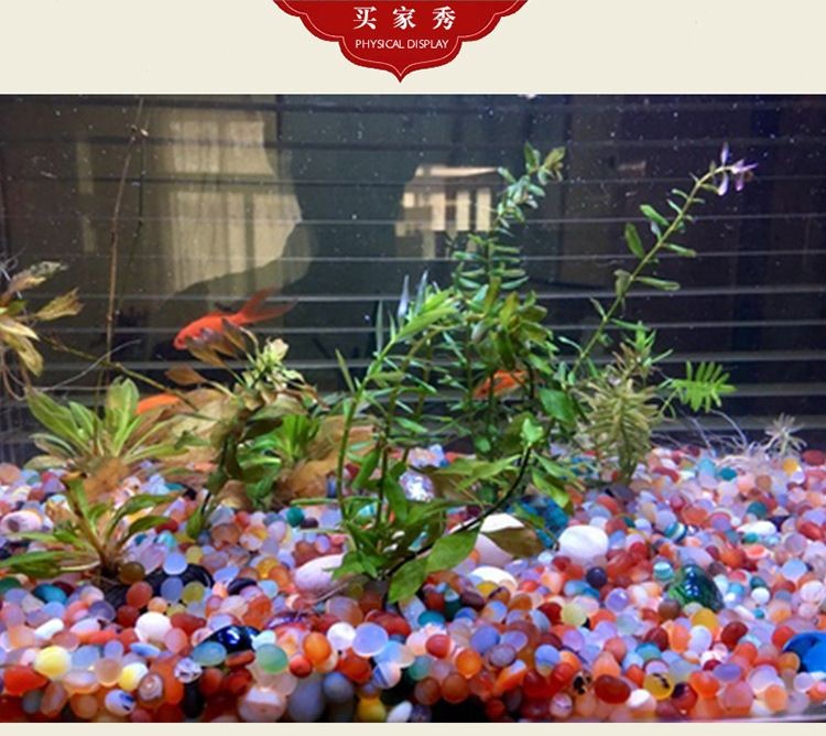 魚缸彩色石頭如何清洗（魚缸彩色石頭如何清洗魚缸彩色石頭清洗技巧）
