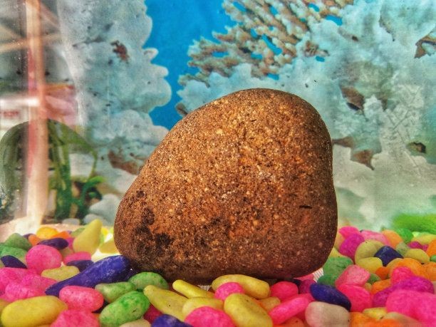 魚缸彩色石頭如何清洗（魚缸彩色石頭如何清洗魚缸彩色石頭清洗技巧）