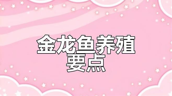 古典藍過背金龍魚需要多大的魚缸？