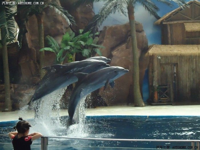 鞍山水族館，遼寧省鞍山市水族館