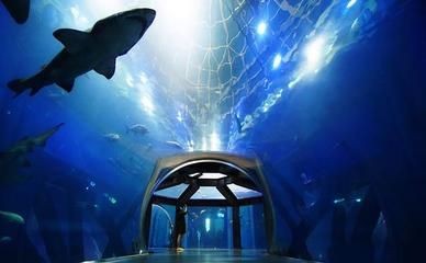 鞍山水族館，遼寧省鞍山市水族館