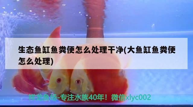 天津濱海新區海岸寵物用品店