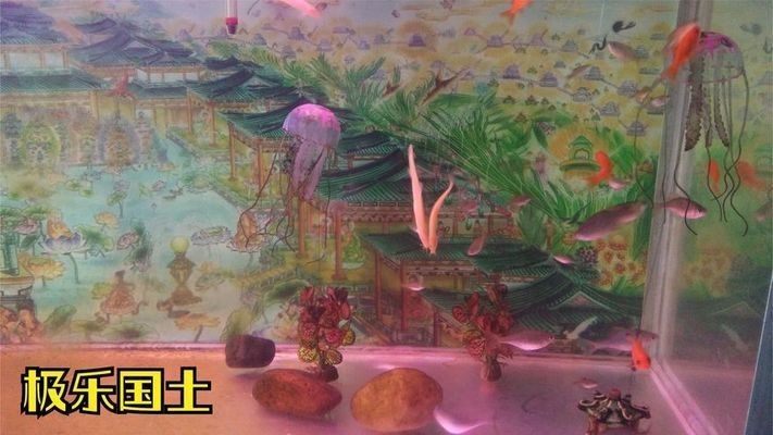 嵊州市剡湖街道袁氏珊瑚水族館（嵊州市剡湖街道袁氏珊瑚水族館地址）