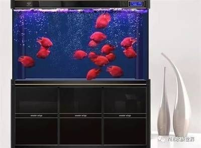 小型魚缸增氧泵怎么安裝（小型魚缸增氧泵怎么安裝安裝小型魚缸增氧泵是一個簡單的過程）