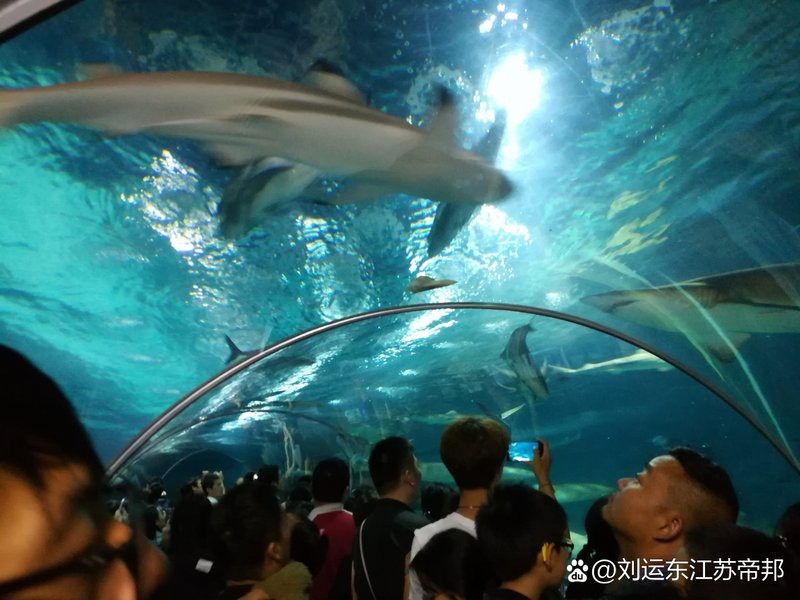 水族館哪里的比較好玩