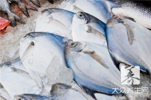 魟魚和鰩魚最簡單區分圖