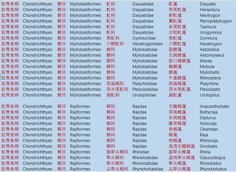魟魚和鰩魚最簡單區分圖