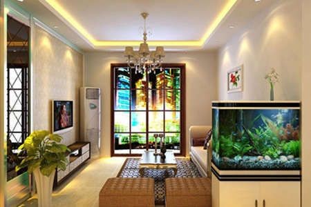 魚缸高度對風水的影響：魚缸養什么魚最旺財魚缸養什么魚最旺財