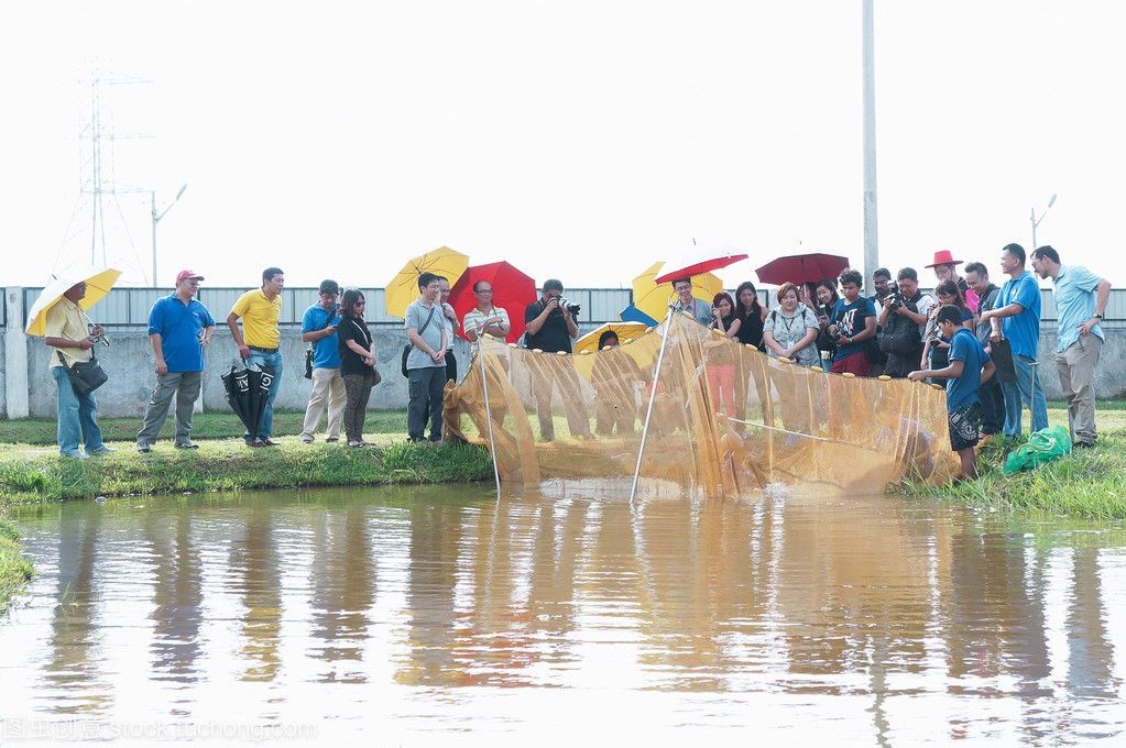 國內有龍魚養殖場嗎現在：中國龍魚養殖行業的工業總產值呈現出增長趨勢 國內有龍魚養殖場嗎現在：中國龍魚養殖行業的工業總產值呈現出增長趨勢 龍魚百科 第5張