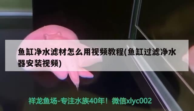 魚缸濾材怎么用合適：如何自制魚缸濾材