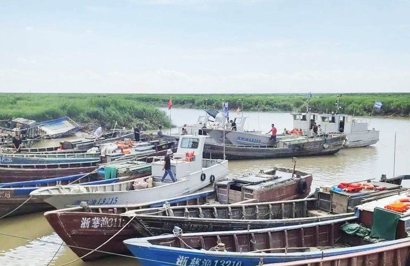 鱭魚俗稱什么魚