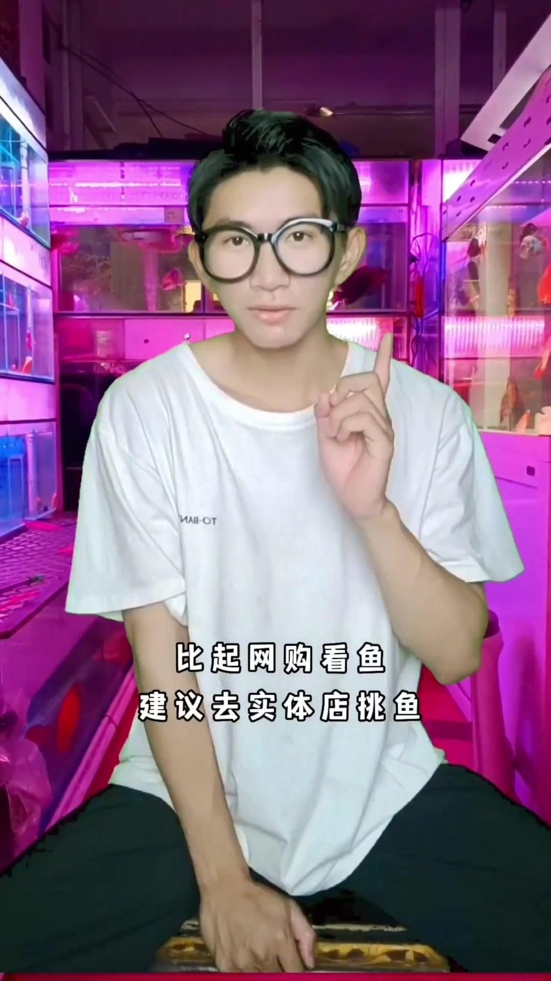 蝴蝶鯉好還是錦鯉好 蝴蝶鯉好還是錦鯉好 龍魚論壇 第11張