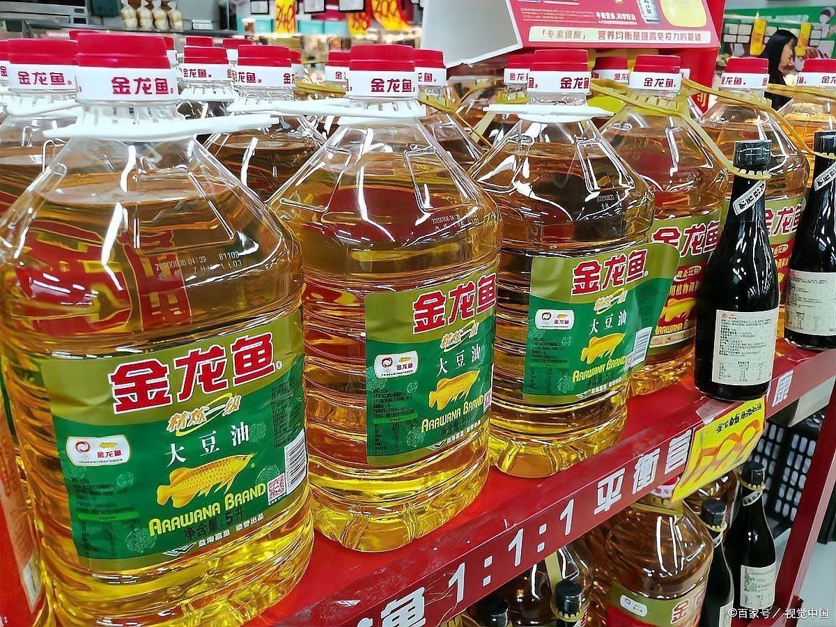 金龍魚發(fā)展前景