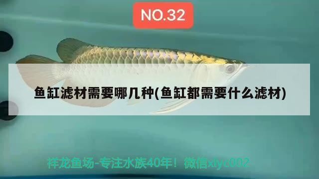 天津市馬永紅水產養(yǎng)殖專業(yè)合作社（天津市馬永紅水產養(yǎng)殖專業(yè)合作社地址） 天津市馬永紅水產養(yǎng)殖專業(yè)合作社（天津市馬永紅水產養(yǎng)殖專業(yè)合作社地址） 全國水族館企業(yè)名錄 第1張