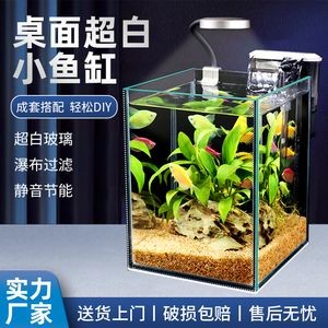 魚缸清潔技巧大揭秘魚缸清潔技巧大揭秘魚缸清潔技巧：魚缸水質管理技巧大揭秘
