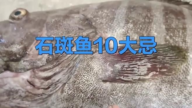 紅石斑魚為何盡量少吃
