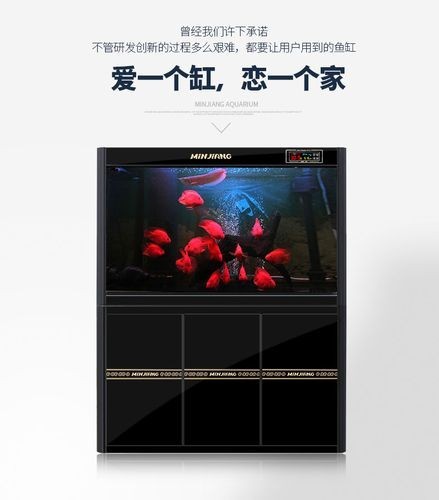 龍魚五大品牌魚缸圖片大全
