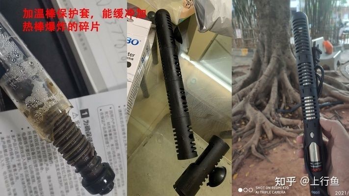 魚缸加熱棒的安全隱患魚缸安全隱患魚缸加熱棒的安全隱患：魚缸加熱棒的安全隱患