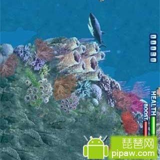 食人狂鯊5在線觀看免費 食人狂鯊5在線觀看免費 龍魚論壇 第2張