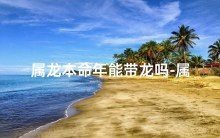 魚缸活性炭的選購指南：魚缸活性炭使用誤區解析魚缸活性炭使用誤區解析 魚缸活性炭的選購指南：魚缸活性炭使用誤區解析魚缸活性炭使用誤區解析 魚缸百科 第2張