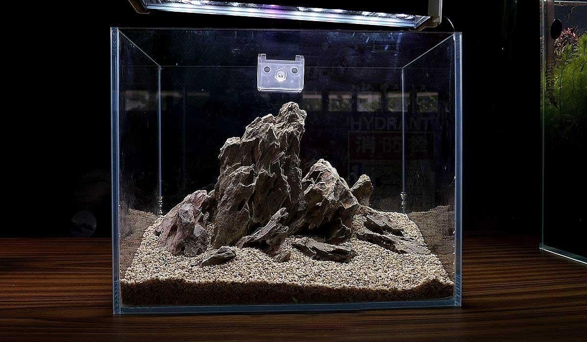 龜紋石可以放魚缸嗎（臨沂龜紋石盆景批發(fā)龜紋石盆景批發(fā)龜紋石盆景批發(fā)）