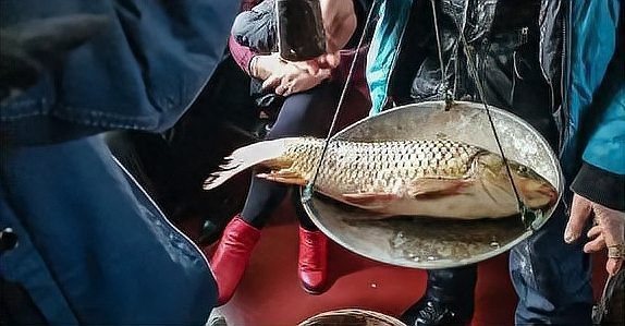石爬子魚多少錢一斤