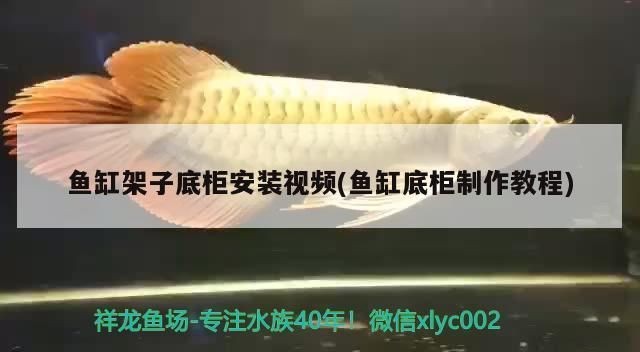 歐式魚缸底部架子安裝視頻教程全集：歐式魚缸底部架子安裝教程