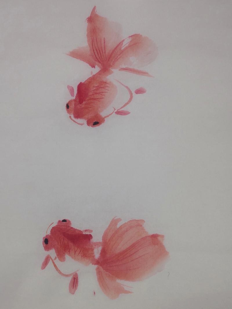 名家金魚國畫圖片