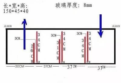 底濾魚缸的尺寸圖可以幫助您更好地規劃和設計您的水族箱：底濾魚缸尺寸圖及相關設計要點