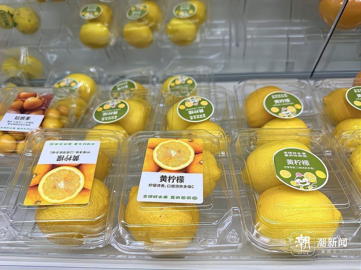 檸檬價格表今日價格