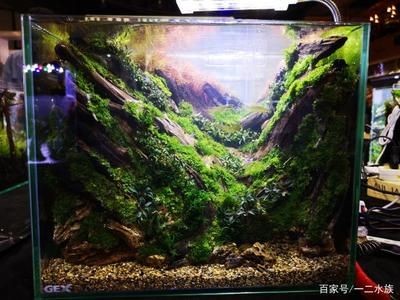 廣州魚缸造景魚缸造景展會時間表廣州魚缸造景展會時間表：2024廣州國際漁博會時間表