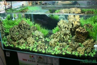 廣州魚缸造景魚缸造景展會時間表廣州魚缸造景展會時間表：2024廣州國際漁博會時間表