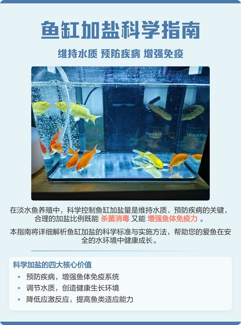 淡水魚加鹽的比例 淡水魚加鹽的比例 龍魚論壇 第9張