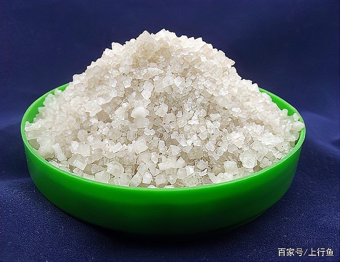 淡水魚加鹽的比例 淡水魚加鹽的比例 龍魚論壇 第13張