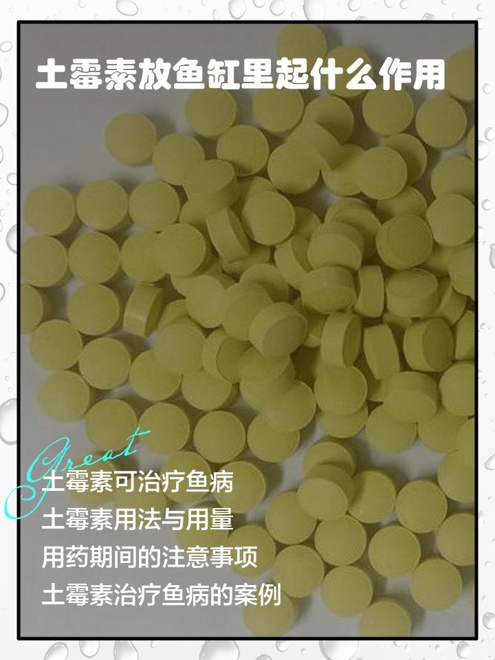 土霉素治療龍魚用量