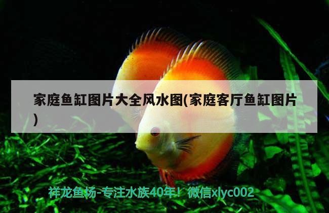 西安市新城區金森造景工藝品商行（西安金森仿真植物有限公司）