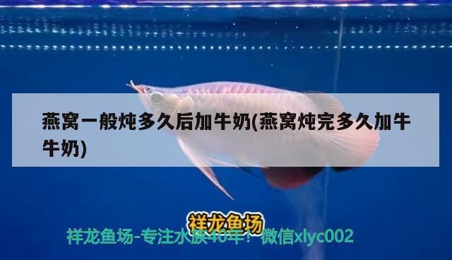 西安市新城區金森造景工藝品商行（西安金森仿真植物有限公司）