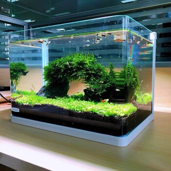 西安曲江新區（大明宮）鴻遠水族館（西安曲江鴻遠建筑制品有限責任公司）