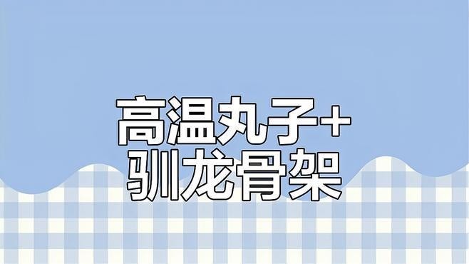 龍魚(yú)需要什么濾材最好