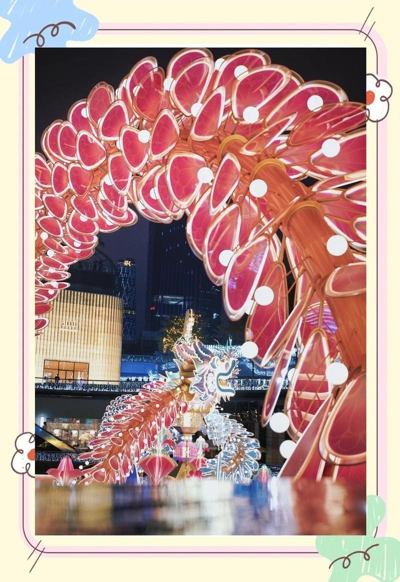 愛養魚龍龍的視頻拍攝技巧有哪些？