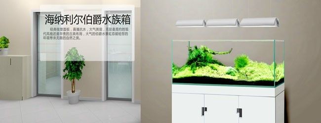 海納利爾魚缸官網售后怎么辦：海納利爾水族科技有限公司提供專業售后服務團隊