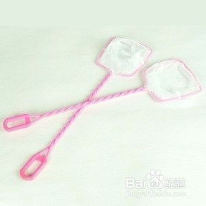 魚缸里漂浮物如何清除：清除魚缸中的漂浮物 魚缸里漂浮物如何清除：清除魚缸中的漂浮物 魚缸百科 第5張