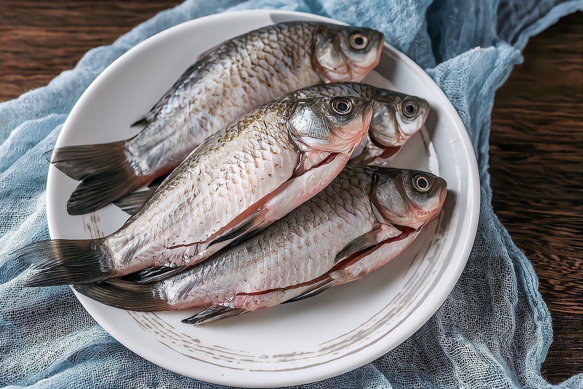 鯽魚哪個季節(jié)吃最合適 龍魚論壇 第1張 鯽魚哪個季節(jié)吃最合適 鯽魚哪個季節(jié)吃最合適 龍魚論壇 第1張