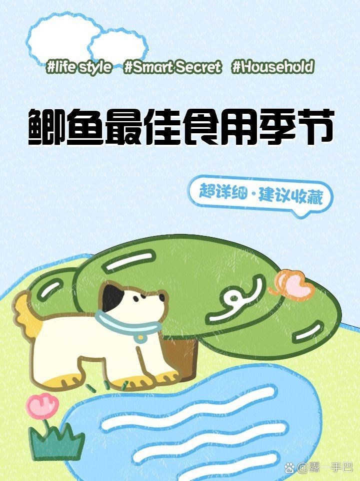 鯽魚哪個季節(jié)吃最合適 龍魚論壇 第4張 鯽魚哪個季節(jié)吃最合適 鯽魚哪個季節(jié)吃最合適 龍魚論壇 第4張