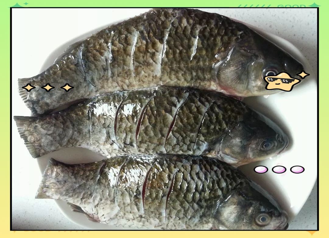 鯽魚哪個季節(jié)吃最合適 龍魚論壇 第10張 鯽魚哪個季節(jié)吃最合適 鯽魚哪個季節(jié)吃最合適 龍魚論壇 第10張