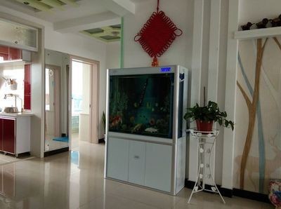 一米陽光魚缸多少升水：一米陽光魚缸多少升水適合養什么魚魚缸水位控制技巧
